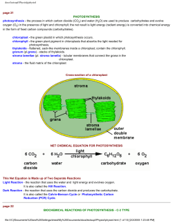Physiology of Plants