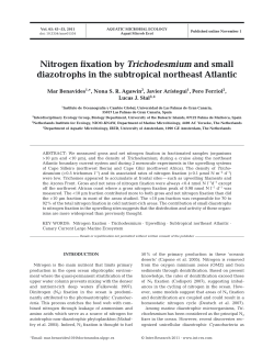 Nitrogen fixation by Trichodesmium and small diazotrophs in the
