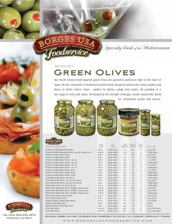 Spanish Green Olives - Borges USA Foodservice