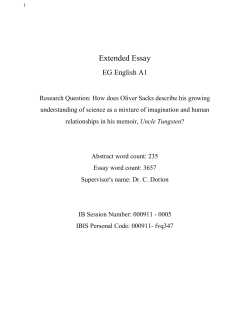Extended Essay
