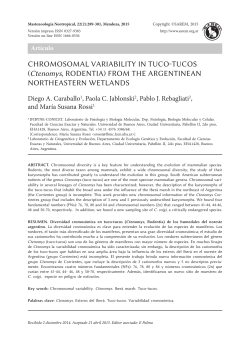 Espa&ntilde;ol  - SciELO Argentina