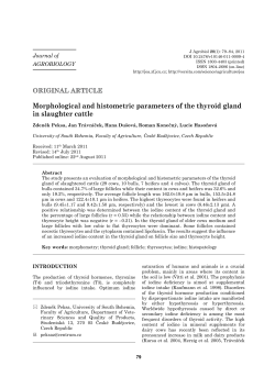 Morphological and histometric parameters of the thyroid gland in