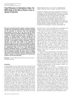 From Phonemes to Articulatory Codes: An fMRI
