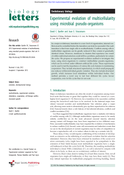 Experimental evolution of multicellularity using microbial pseudo