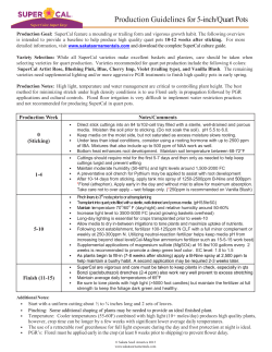 SuperCal Quart Production Guidelines