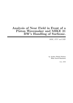 Analysis of Near Field in Front of a Piston Wavemaker and MIKE 21