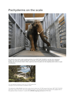 Pachyderms on the scale