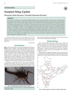 Scorpion Sting :Update