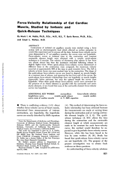 Force-Velocity Relationship of Cat Cardiac Muscle, Studied by