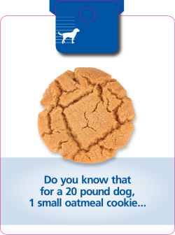 Do you know that for a 20 pound dog, 1 small oatmeal