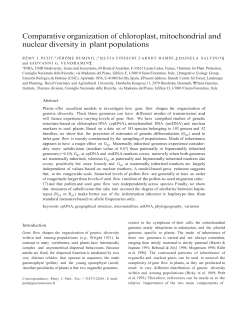 INVITED REVIEW: Comparative organization of chloroplast