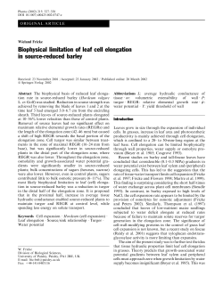 Biophysical limitation of leaf cell elongation in source