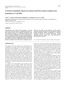 NLS enhanced DNA transport - Journal of Cell Science