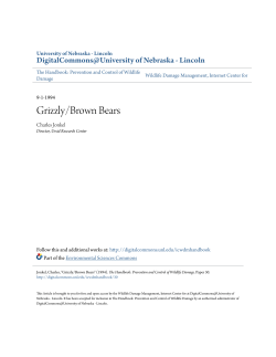 Grizzly/Brown Bears - DigitalCommons@University of Nebraska