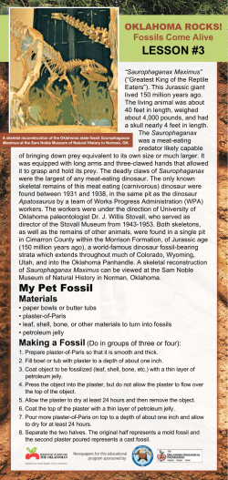 Lesson 3 - Newspapers in Education