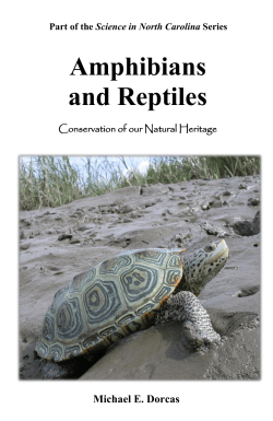 Amphibians and Reptiles