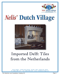 Imported Delft Tiles from the Netherlands