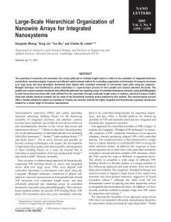 Large-Scale Hierarchical Organization of Nanowire Arrays for