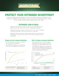 protect your nitrogen investment