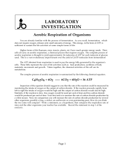 LABORATORY INVESTIGATION Aerobic Respiration of Organisms