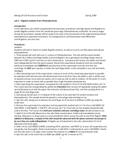 Flagellar isolation from Chlamydomonas