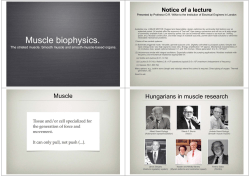 Muscle biophysics. Muscle biophysics.