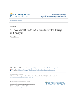 A Theological Guide to Calvin`s Institutes: Essays and Analysis