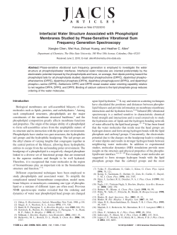 Interfacial Water Structure Associated with Phospholipid Membranes