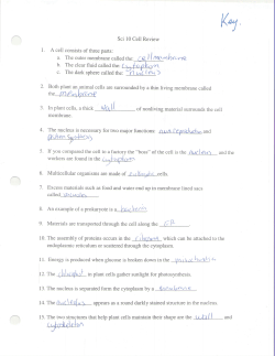 Cell Review