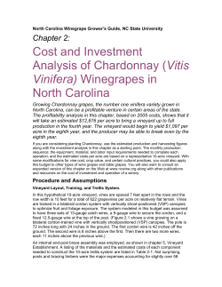 Cost and Investment Analysis of Chardonnay
