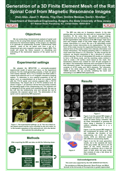 Generation of a 3D Finite Element Mesh of the Rat