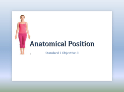 Anatomical Position - Weekend Warrior CPR