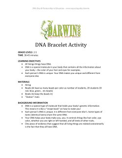 DNA Bracelet Activity