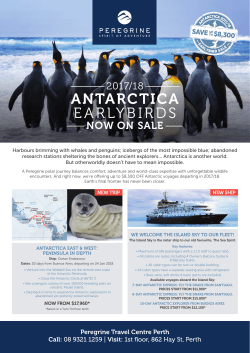 antarctica earlybirds