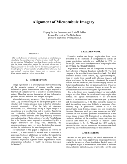 PDF only - at www.arxiv.org.