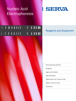 Nucleic Acid Electrophoresis