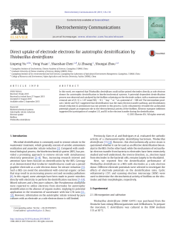Direct uptake of electrode electrons for autotrophic denitrification by