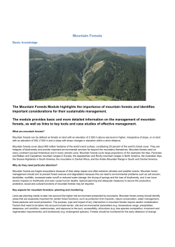 Mountain Forests