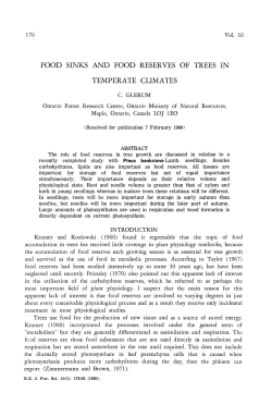 food sinks and food reserves of trees in temperate