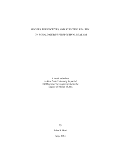 models, perspectives, and scientific realism