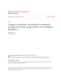 Gangs in a rural town - Iowa State University Digital Repository