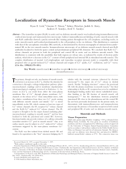 Localization of Ryanodine Receptors in Smooth Muscle