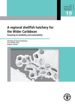 A regional shellfish hatchery for the Wider Caribbean