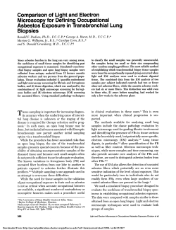 Comparison of Light and Electron Microscopy for