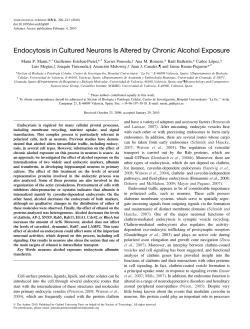 Endocytosis in Cultured Neurons Is Altered by Chronic Alcohol
