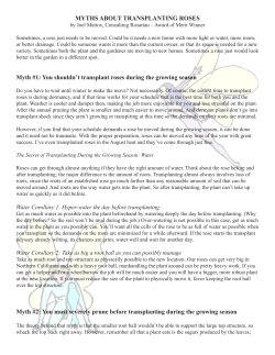 MYTHS ABOUT TRANSPLANTING ROSES Myth #1