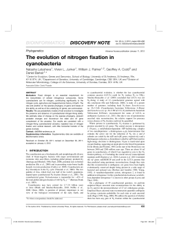 The evolution of nitrogen fixation in cyanobacteria