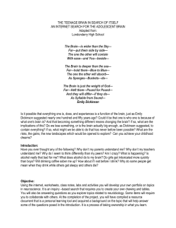 the teenage brain in search of itself