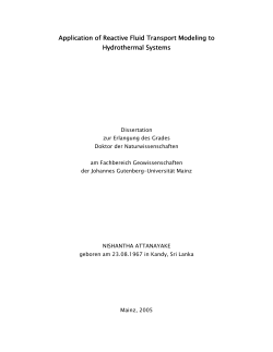 Application of Reactive Fluid Transport Modeling to Hydrothermal