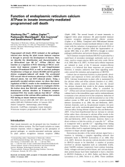 Function of endoplasmic reticulum calcium ATPase in innate